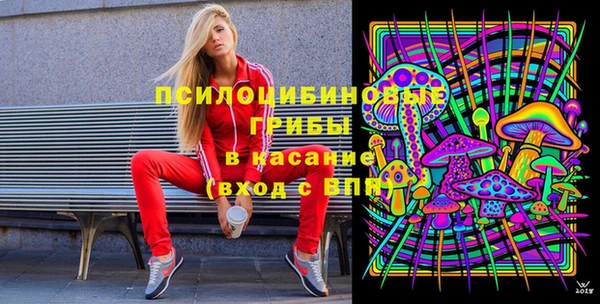 а пвп мука Каменка