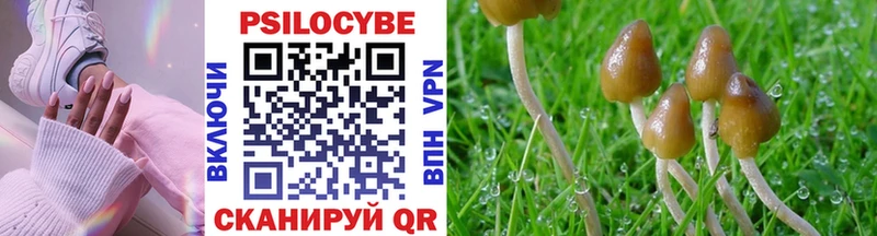 Псилоцибиновые грибы Cubensis  Купить закладки  Валуйки 
